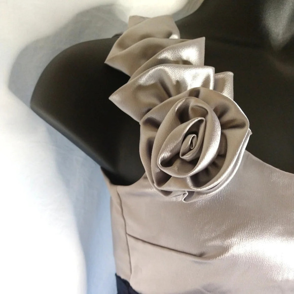 Pretty Silver and Midnight Blue Event Dress EUC ❤️ - Picture 3 of 13